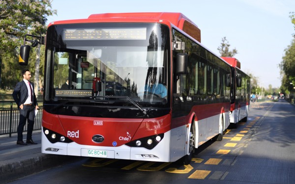 Nuevo buses eléctricos 