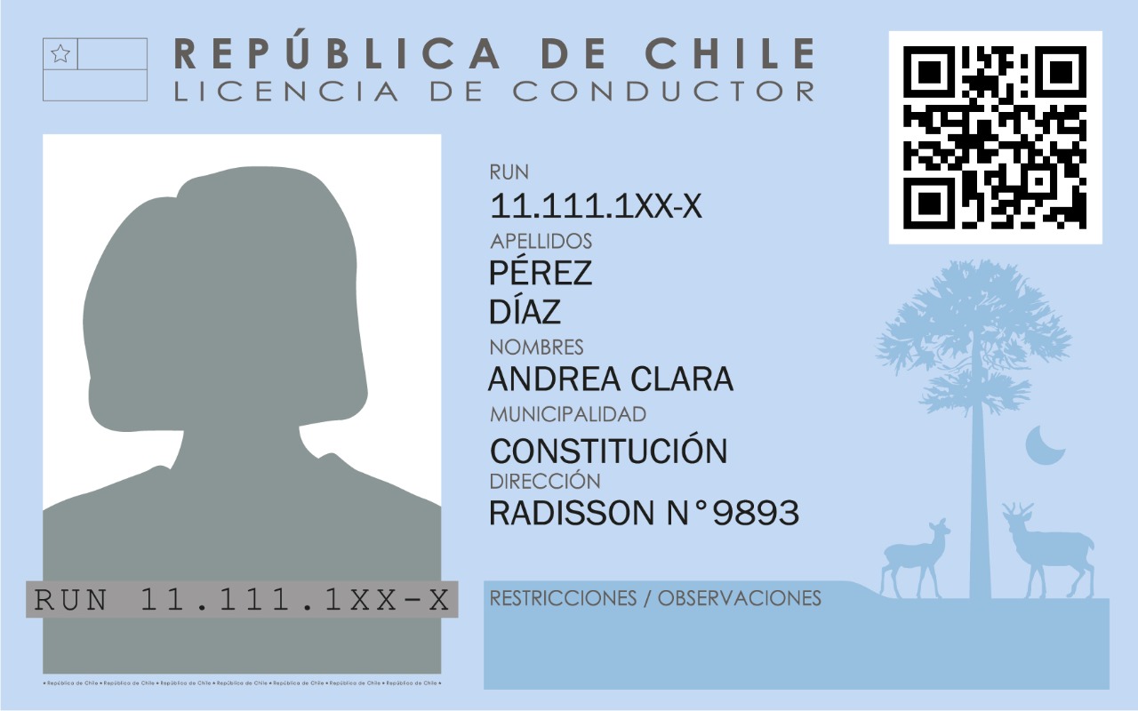 Licencia de Conducir_Mujer 1