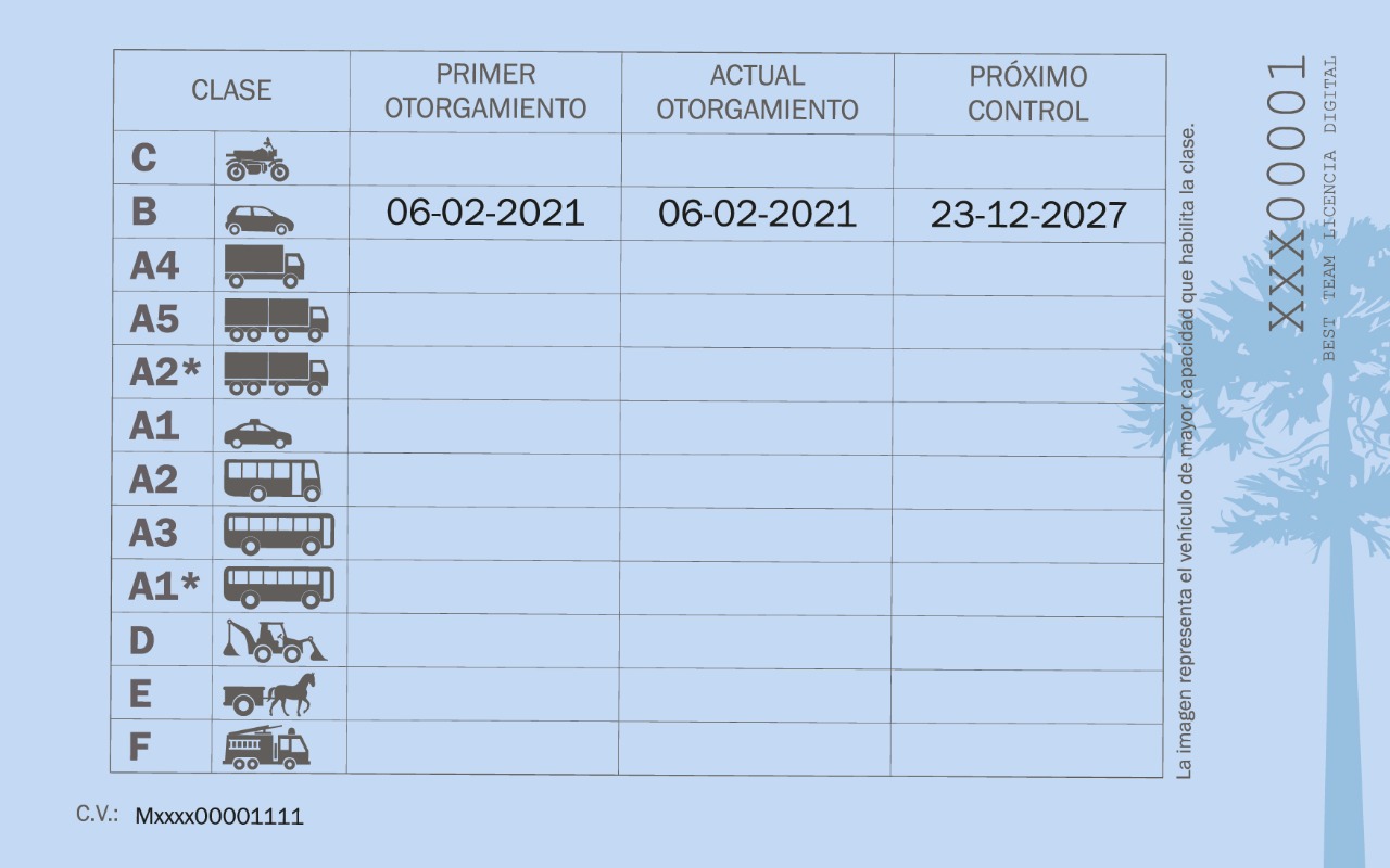 Licencia de Conducir_Mujer 2